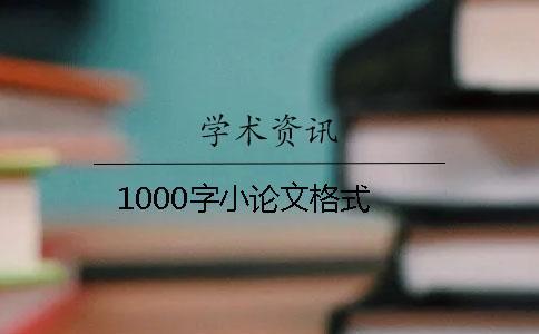 1000字小论文格式