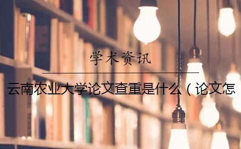 云南农业大学论文查重是什么（论文怎样查重_论文查重率是什么意思）